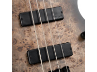 Cort Space 4 Star Dust Black Cort Space 4 Star Dust Black